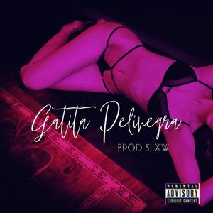 Gatita Pelinegra (feat. Xolity & Iccy Boy) (Explicit)