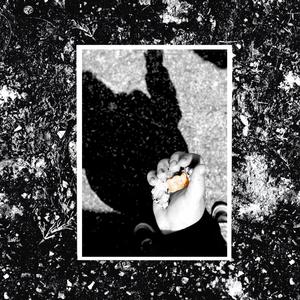 FAREWELL + BELLY (Explicit)