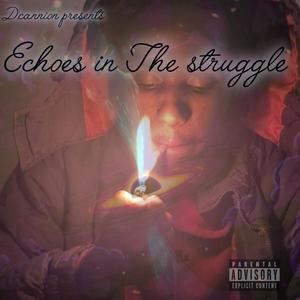 Echos in The Struggle (Explicit)