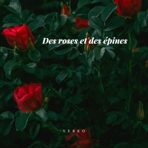 Des roses et des épines (Explicit)