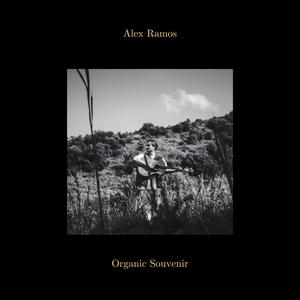 Love Fever (Reimagined)