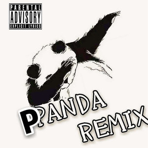 Stupid Boy （panda remix）