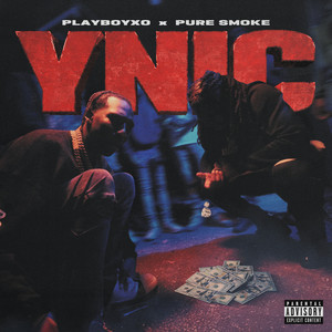YNIC (Explicit)
