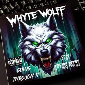 Going through it (feat. Tiffany Brickz) (Explicit)