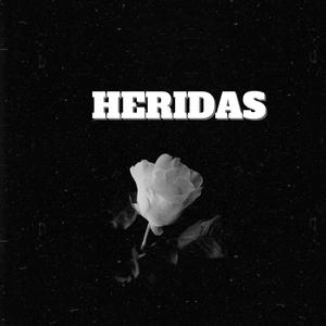 Heridas (feat. elkronicofficial) (Explicit)
