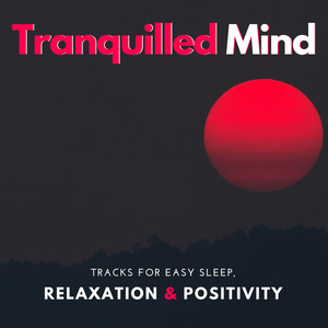 Tranquilled Mind - Tracks For Easy Sleep, Relaxation & Positivity