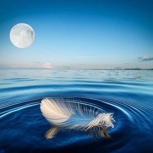 Grounded In The Tones Below