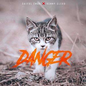 Danger (feat. Kenny Cleod)