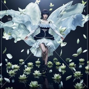 Lotus Pain (莲花之痛)