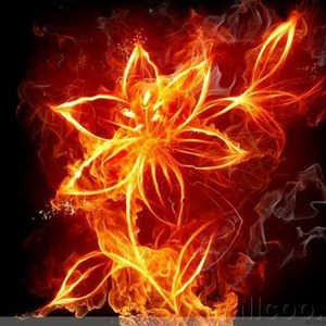 Skies the War - 天空主宰的战场 -