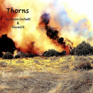 Thorns (feat. ShamZit) [Explicit]