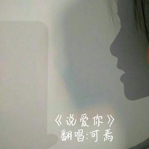 说爱你 (翻自 蔡依林)