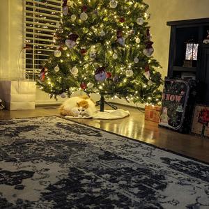 Enough Noise (Explicit)