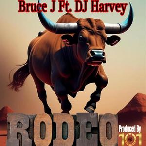 Rodeo (feat. DJ HARVEY)