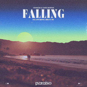 Falling (feat. Rico 56)