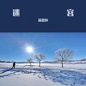 无月之雪