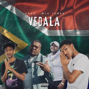 VEDALA (feat. 21promo Pengii & Bibo) (Explicit)