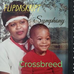 CrossBreed (feat. Symphony) [Explicit]