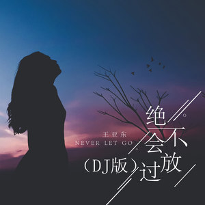 王亚东 - 绝不会放过 (DJ版)