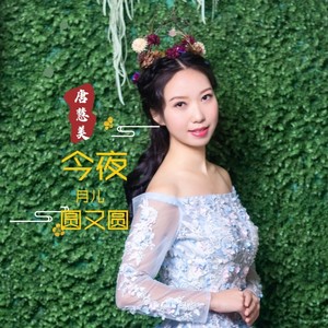 今夜月儿圆又圆