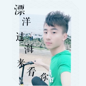 漂洋过海来看你