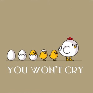 You Won't Cry