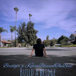 Build a Bridge