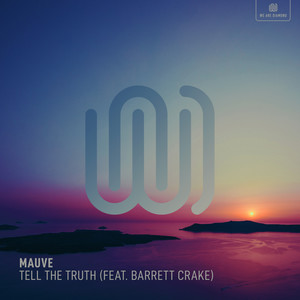 Tell the Truth (Olly James Remix)