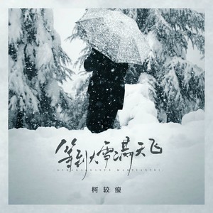 柯较瘦 - 等到大雪漫天飞 (DJ豪大大版伴奏)