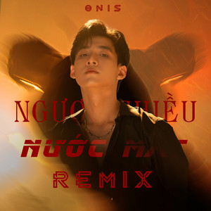 Ngược Chiều Nước Mắt (Remix)