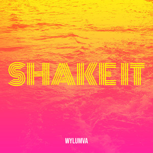 Shake It (Explicit)