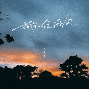 抓不住的风 (DJAh版)封面