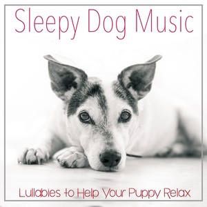 Sleepy Dog Music: Lullabies to Help Your Puppy Relax