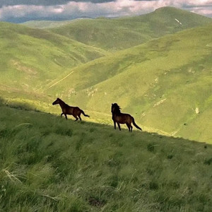安河桥 (纯音乐新编版)
