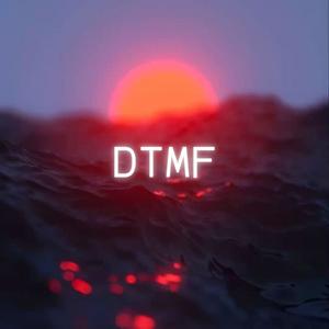 DtMF (House|Explicit)