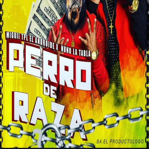 Perro de raza (Explicit)