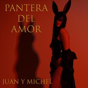 Pantera del amor