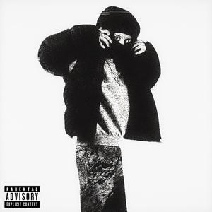 RICH FLEX (Explicit)