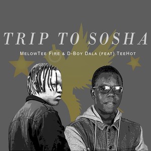 TRIP TO SOSHA (Instrumental Versions)