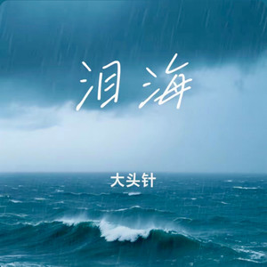 泪海（你怎么舍得让我的泪流向海）-大头针