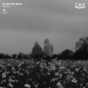 le nom des fleurs / fin (Explicit)