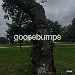 goosebumps (Explicit)