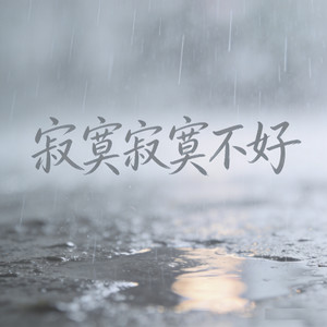 寂寞寂寞不好 (烟嗓走心版)