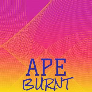 Ape Burnt