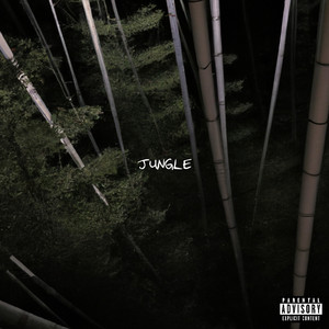 JUNGLE (Explicit)