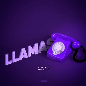 LLAMAS (feat. masalabeats)