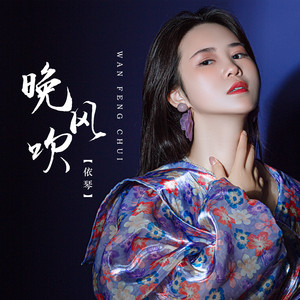 晚风吹 (Dj沈念Remix伴奏)