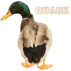 Quack