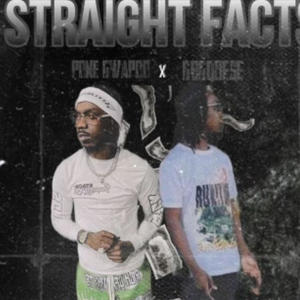 Straight Facts (feat. GbgQuese) [Explicit]