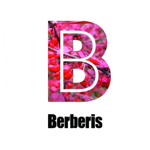 Imeptu (Original Mix)